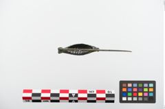 Foto von Bronzekahnfibel (NHMW-PRAE-024175)